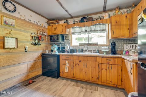 Tiny photo for 205 Helton Hollow Road, Eidson, TN 37731 (MLS # 9986342)