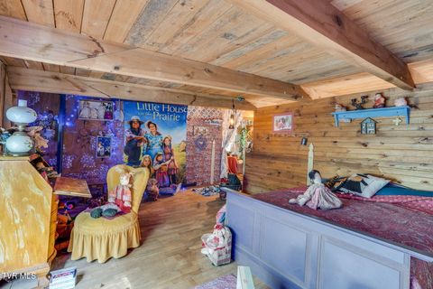 Tiny photo for 205 Helton Hollow Road, Eidson, TN 37731 (MLS # 9986342)