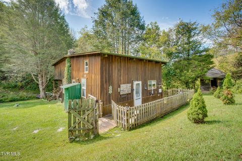 Tiny photo for 205 Helton Hollow Road, Eidson, TN 37731 (MLS # 9986342)