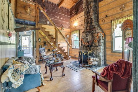 Tiny photo for 205 Helton Hollow Road, Eidson, TN 37731 (MLS # 9986342)