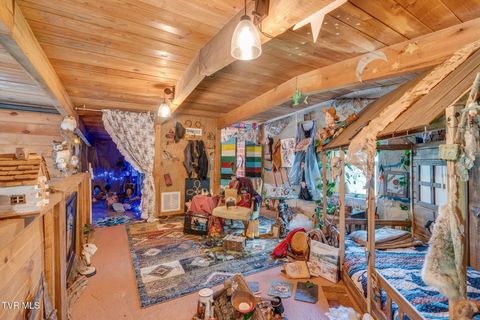 Tiny photo for 205 Helton Hollow Road, Eidson, TN 37731 (MLS # 9986342)