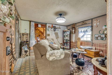 Tiny photo for 205 Helton Hollow Road, Eidson, TN 37731 (MLS # 9986342)