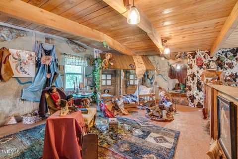 Tiny photo for 205 Helton Hollow Road, Eidson, TN 37731 (MLS # 9986342)