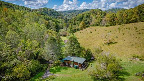 Tiny photo for 205 Helton Hollow Road, Eidson, TN 37731 (MLS # 9986342)