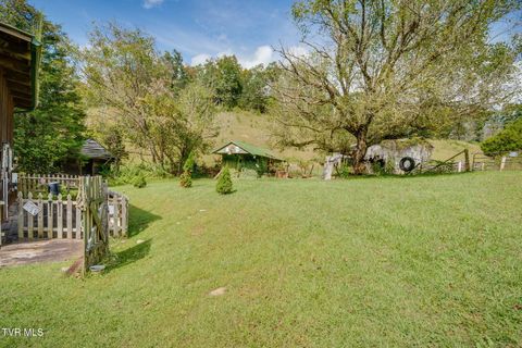 Tiny photo for 205 Helton Hollow Road, Eidson, TN 37731 (MLS # 9986342)