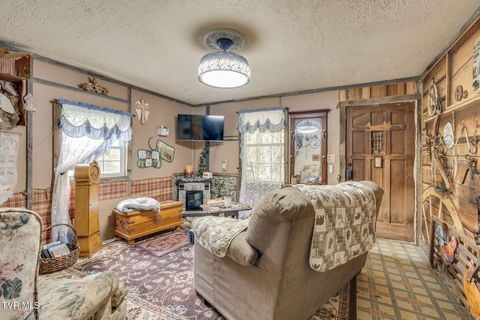 Tiny photo for 205 Helton Hollow Road, Eidson, TN 37731 (MLS # 9986342)