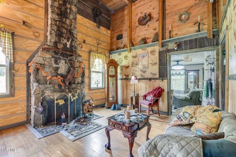 Tiny photo for 205 Helton Hollow Road, Eidson, TN 37731 (MLS # 9986342)