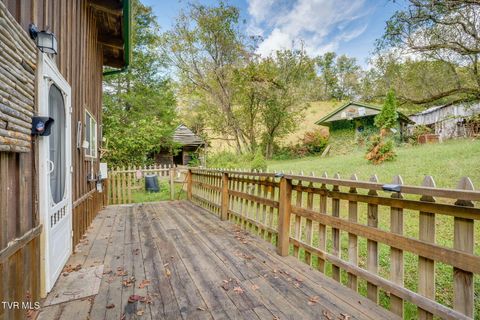 Tiny photo for 205 Helton Hollow Road, Eidson, TN 37731 (MLS # 9986342)