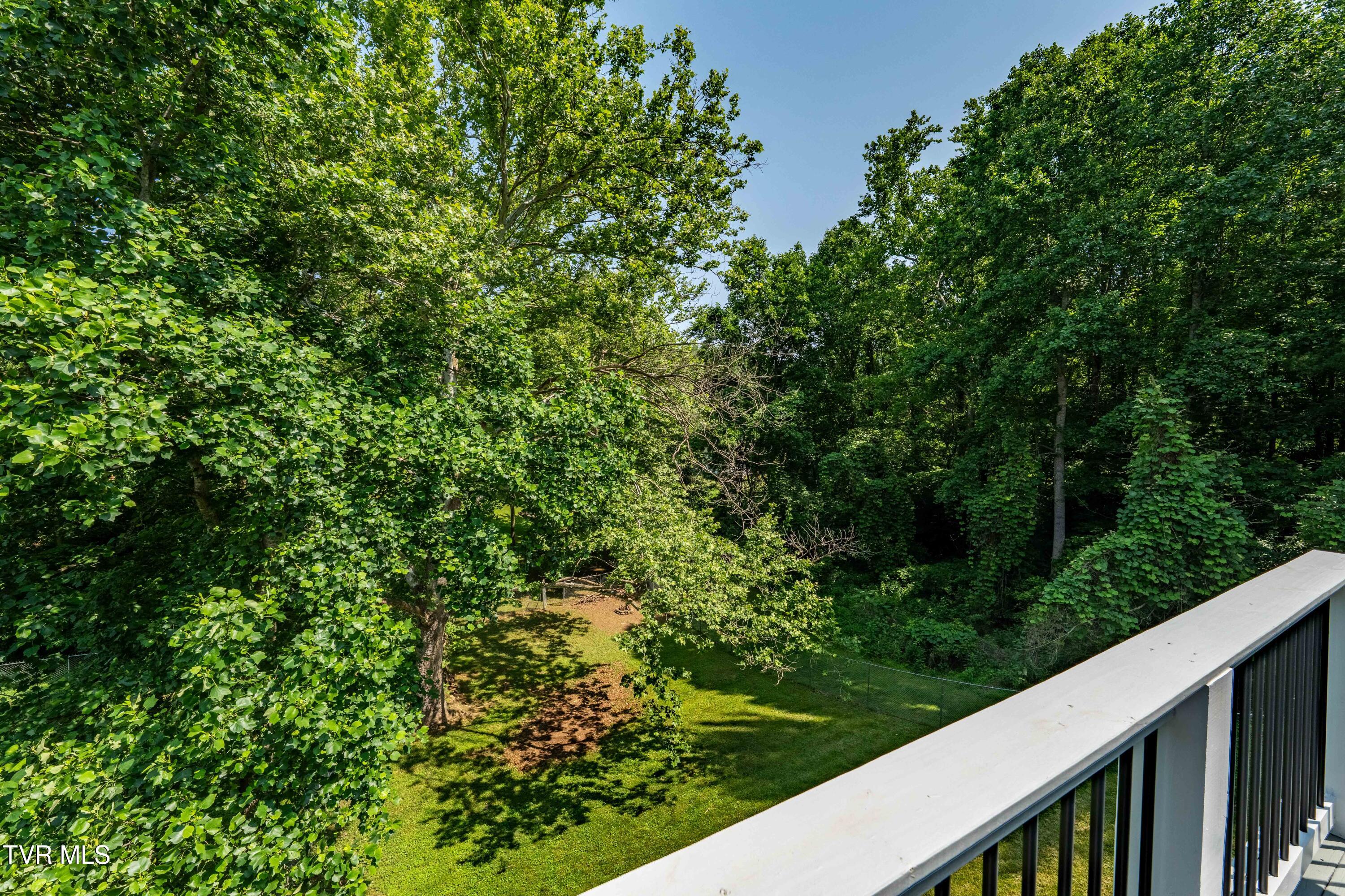 193 River Road, Bluff City, Tennessee image 44