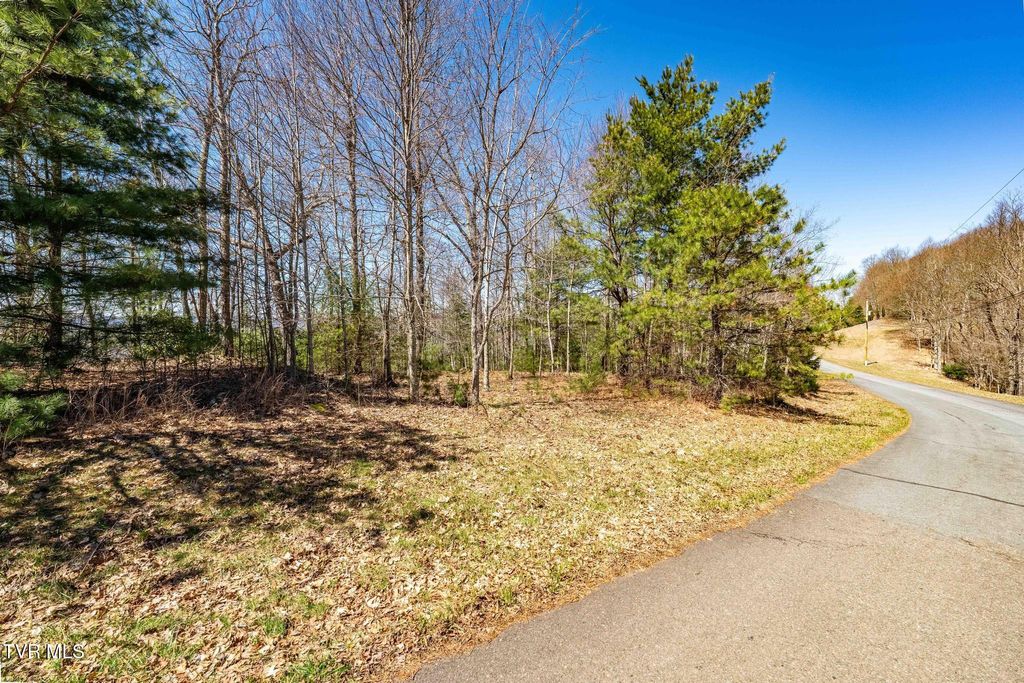 Photo of 10 Callalantee Drive, Mountain City, TN 37683 (MLS # 9993094)