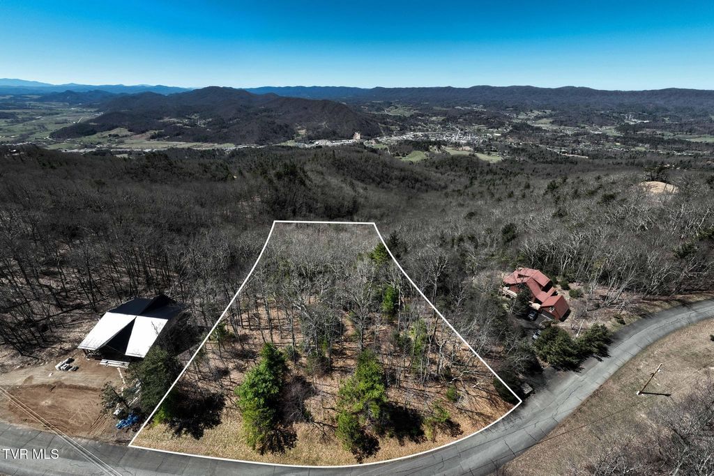 Photo of 10 Callalantee Drive, Mountain City, TN 37683 (MLS # 9993094)