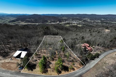 Vacant Land For Sale - LOT 10 Callalantee Drive<br/> Johnson County, Mountain City, TN 37683