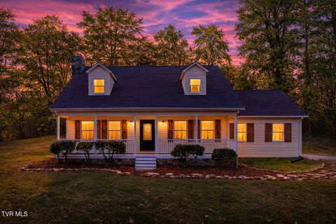 Homes For Sale - 109 Tami Drive<br/> Carter County, Johnson City, TN 37601