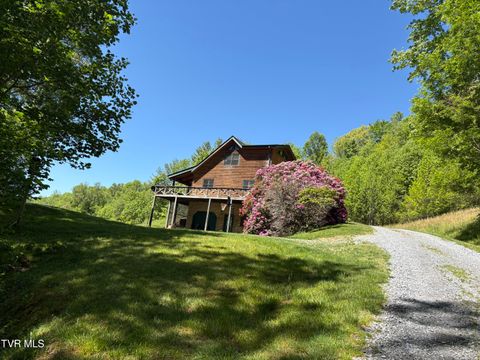 Photo of 371 Buck Mountain Road, Roan Mountain, TN 37687 (MLS # 9995215)