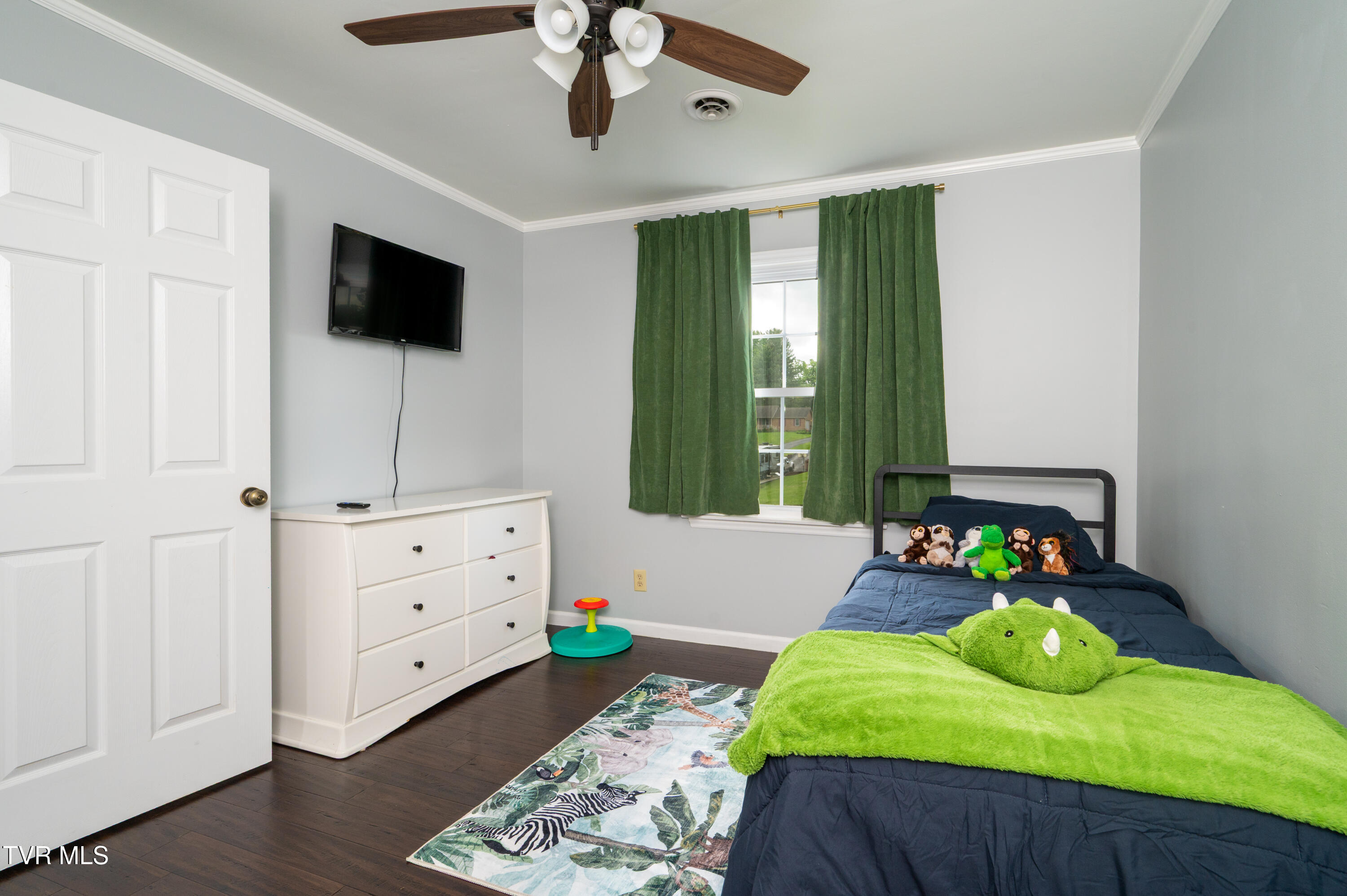 1420 Ruthbrooke Drive, Mount Carmel, Tennessee image 30