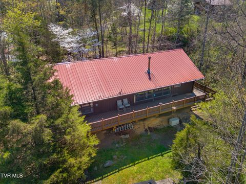 Photo of 158 Dalson Road, Eidson, TN 37731 (MLS # 9993770)