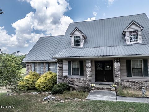 Photo of 1473 Oasis Road, Bulls Gap, TN 37711 (MLS # 9994293)
