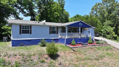 Photo of 1475 Davis Valley Road, Afton, TN 37616 (MLS # 9995643)