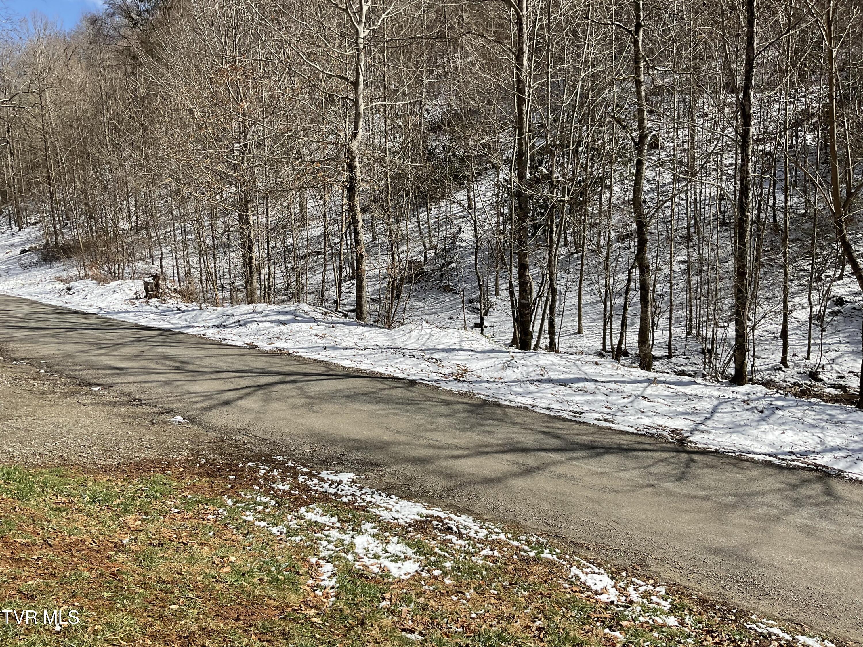 1700 Copperhead Hollow Road, Mountain City, Tennessee image 35