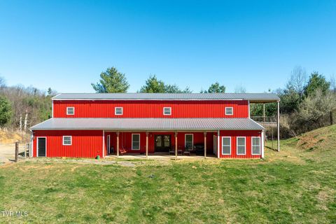 Photo of 533 Robinson Hollow Lane, Mountain City, TN 37683 (MLS # 9993146)