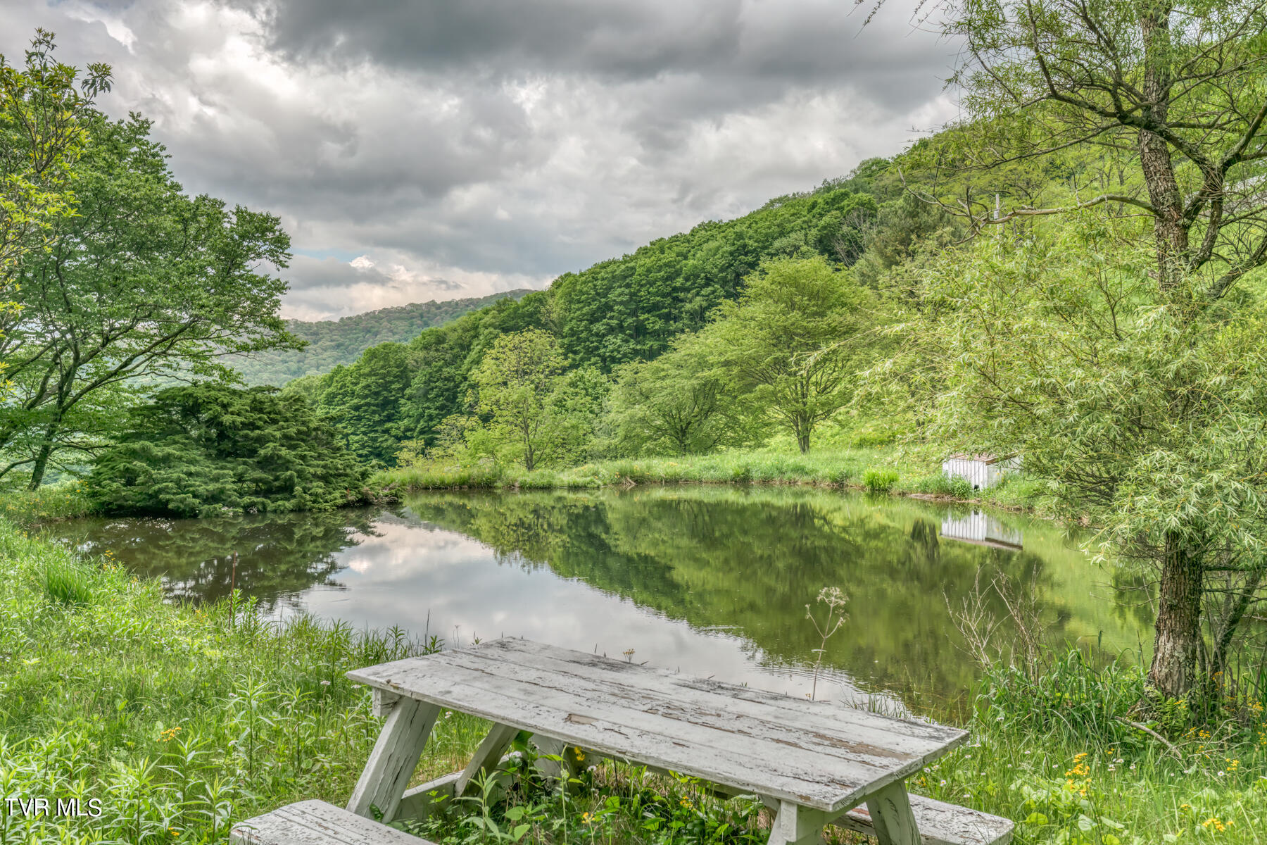 1010 Heaton Creek Road, Roan Mountain, Tennessee image 9
