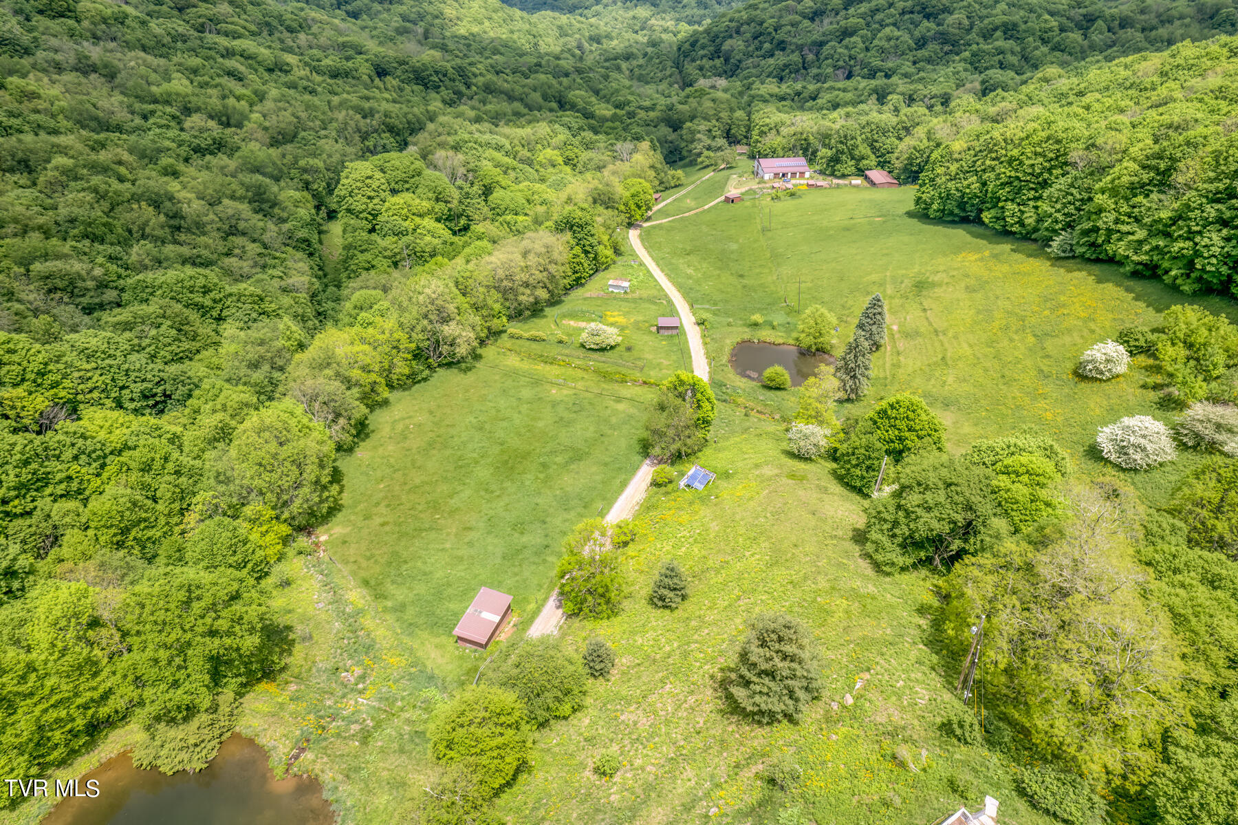 1010 Heaton Creek Road, Roan Mountain, Tennessee image 29