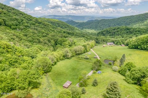1010 Heaton Creek Road Roan Mountain TN 37687