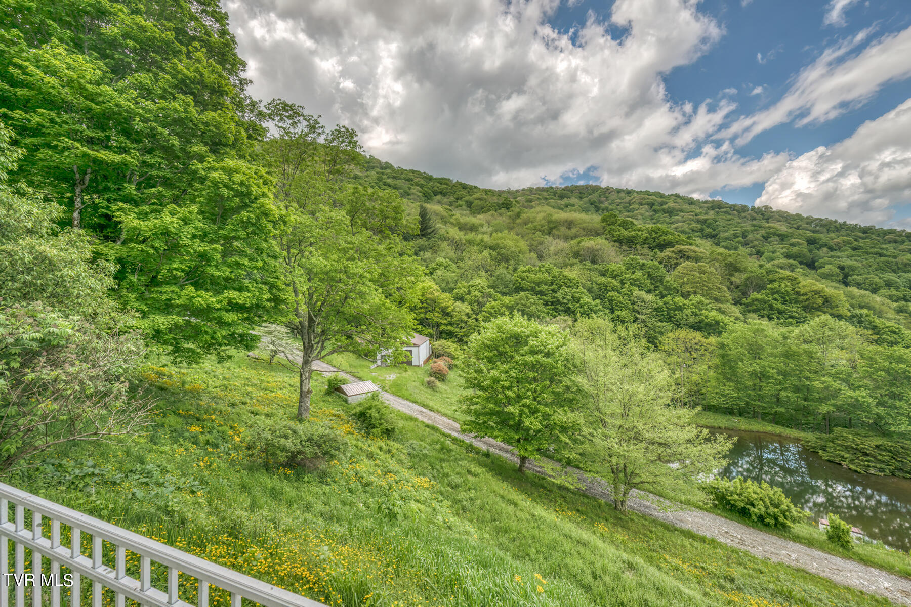 1010 Heaton Creek Road, Roan Mountain, Tennessee image 17