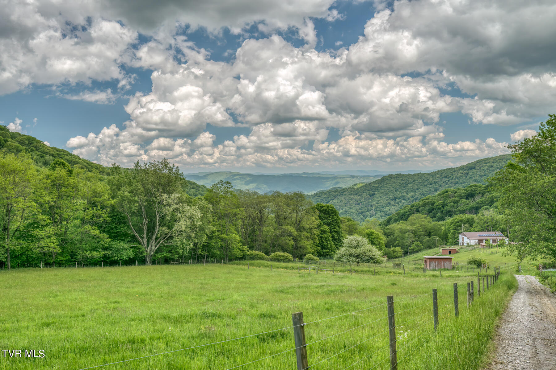 1010 Heaton Creek Road, Roan Mountain, Tennessee image 3