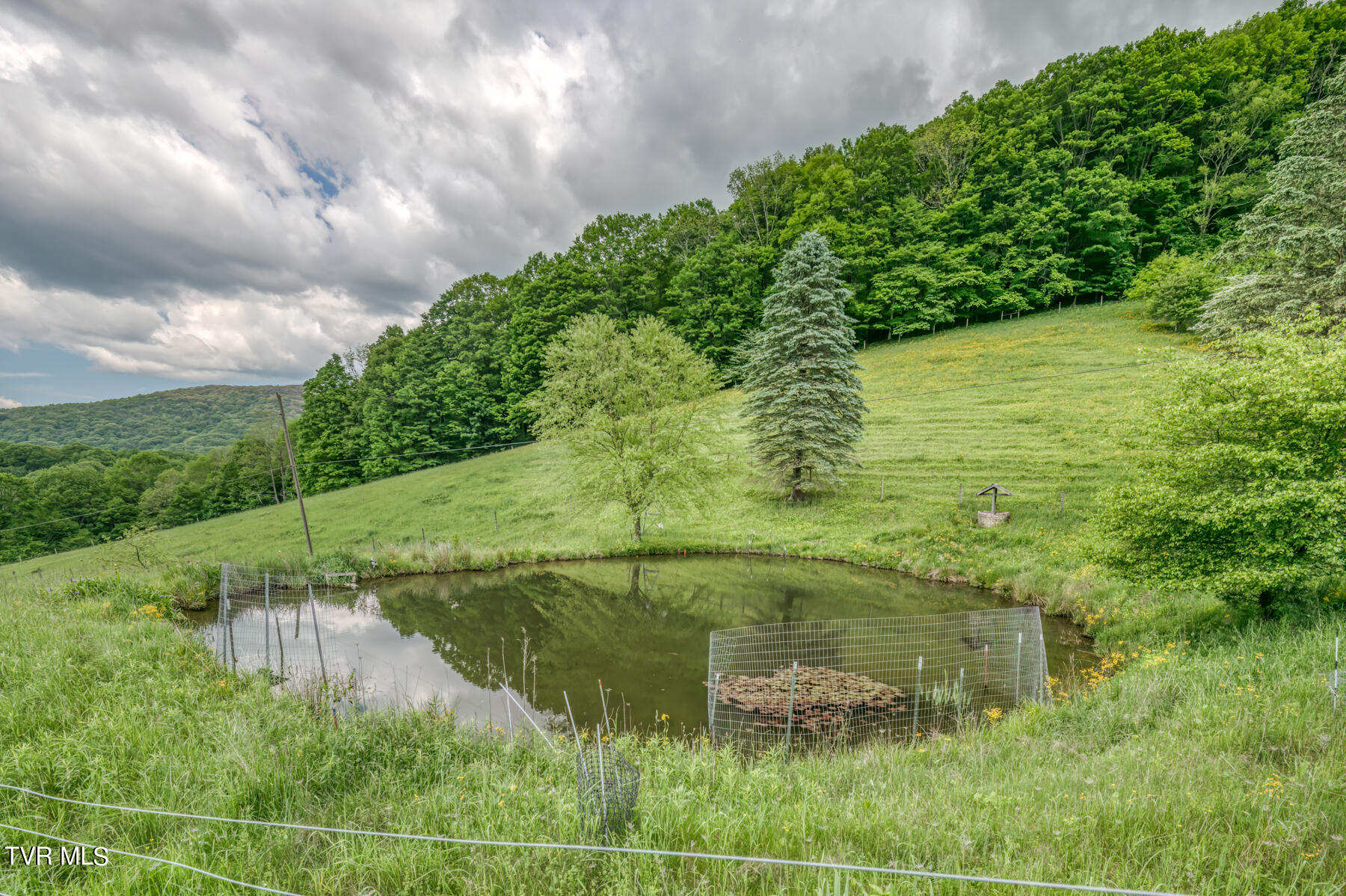 1010 Heaton Creek Road, Roan Mountain, Tennessee image 13