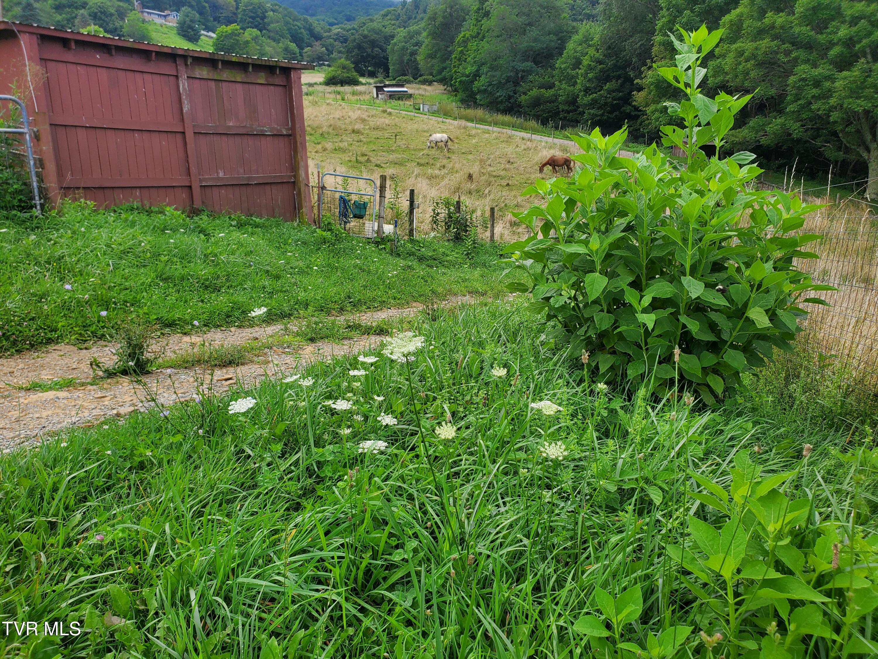 1010 Heaton Creek Road, Roan Mountain, Tennessee image 11