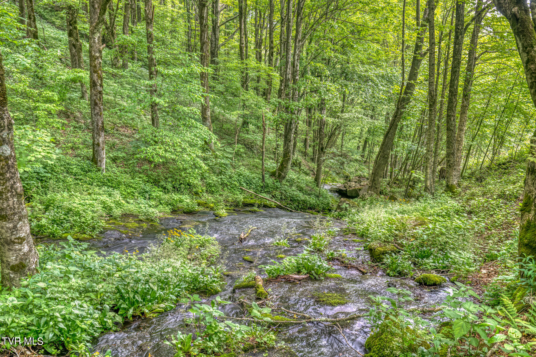 1010 Heaton Creek Road, Roan Mountain, Tennessee image 8