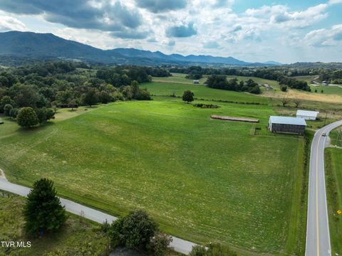 Tiny photo for Tbd Dodd Branch Road, Lot 4, Greeneville, TN 37743 (MLS # 9986379)