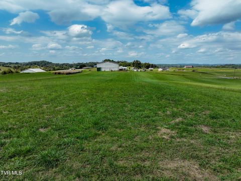 Tiny photo for Tbd Dodd Branch Road, Lot 4, Greeneville, TN 37743 (MLS # 9986379)