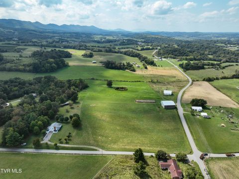 Tiny photo for Tbd Dodd Branch Road, Lot 4, Greeneville, TN 37743 (MLS # 9986379)