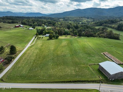 Tiny photo for Tbd Dodd Branch Road, Lot 4, Greeneville, TN 37743 (MLS # 9986379)