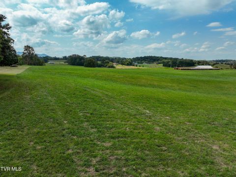 Tiny photo for Tbd Dodd Branch Road, Lot 4, Greeneville, TN 37743 (MLS # 9986379)