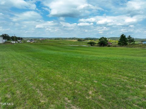 Tiny photo for Tbd Dodd Branch Road, Lot 4, Greeneville, TN 37743 (MLS # 9986379)