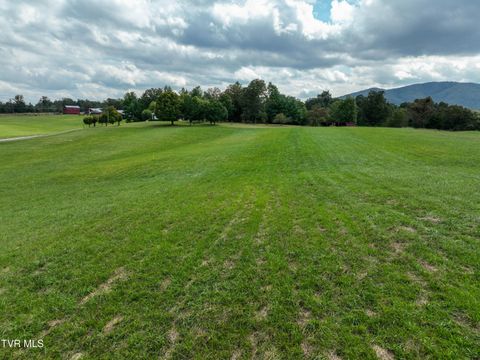 Tiny photo for Tbd Dodd Branch Road, Lot 4, Greeneville, TN 37743 (MLS # 9986379)