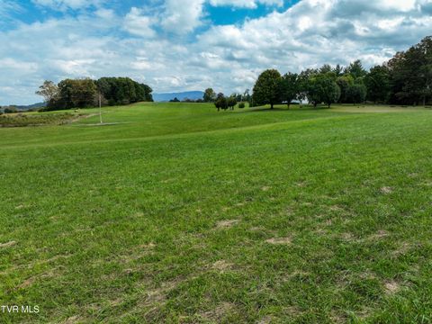 Tiny photo for Tbd Dodd Branch Road, Lot 4, Greeneville, TN 37743 (MLS # 9986379)