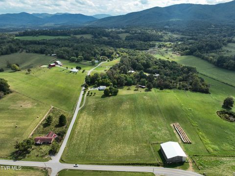 Tiny photo for Tbd Dodd Branch Road, Lot 4, Greeneville, TN 37743 (MLS # 9986379)
