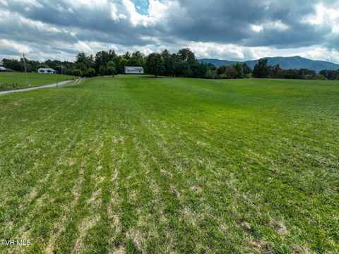 Tiny photo for Tbd Dodd Branch Road, Lot 4, Greeneville, TN 37743 (MLS # 9986379)