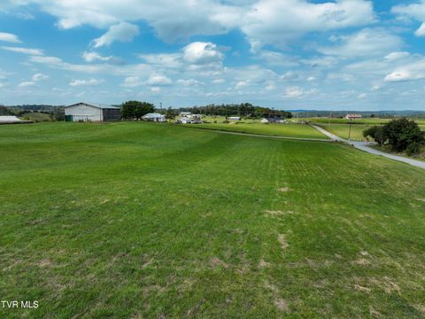 Tiny photo for Tbd Dodd Branch Road, Lot 4, Greeneville, TN 37743 (MLS # 9986379)