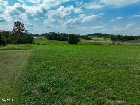 Tiny photo for Tbd Dodd Branch Road, Lot 4, Greeneville, TN 37743 (MLS # 9986379)