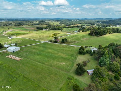 Tiny photo for Tbd Dodd Branch Road, Lot 4, Greeneville, TN 37743 (MLS # 9986379)