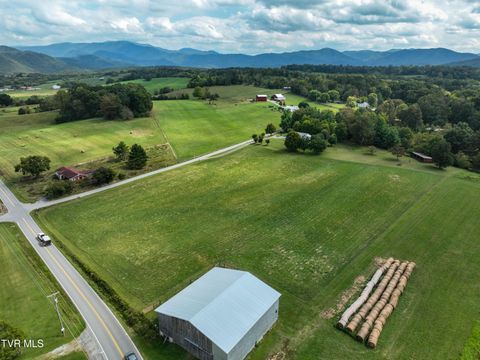 Tiny photo for Tbd Dodd Branch Road, Lot 4, Greeneville, TN 37743 (MLS # 9986379)
