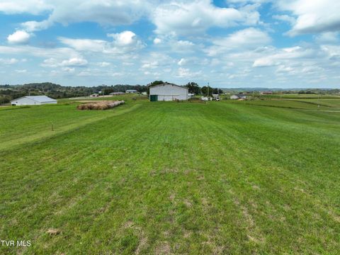Tiny photo for Tbd Dodd Branch Road, Lot 4, Greeneville, TN 37743 (MLS # 9986379)