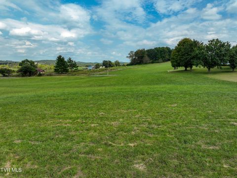 Tiny photo for Tbd Dodd Branch Road, Lot 4, Greeneville, TN 37743 (MLS # 9986379)
