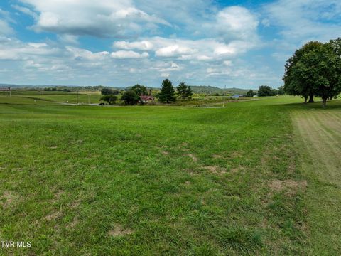 Tiny photo for Tbd Dodd Branch Road, Lot 4, Greeneville, TN 37743 (MLS # 9986379)
