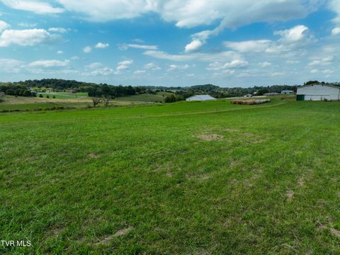 Tiny photo for Tbd Dodd Branch Road, Lot 4, Greeneville, TN 37743 (MLS # 9986379)